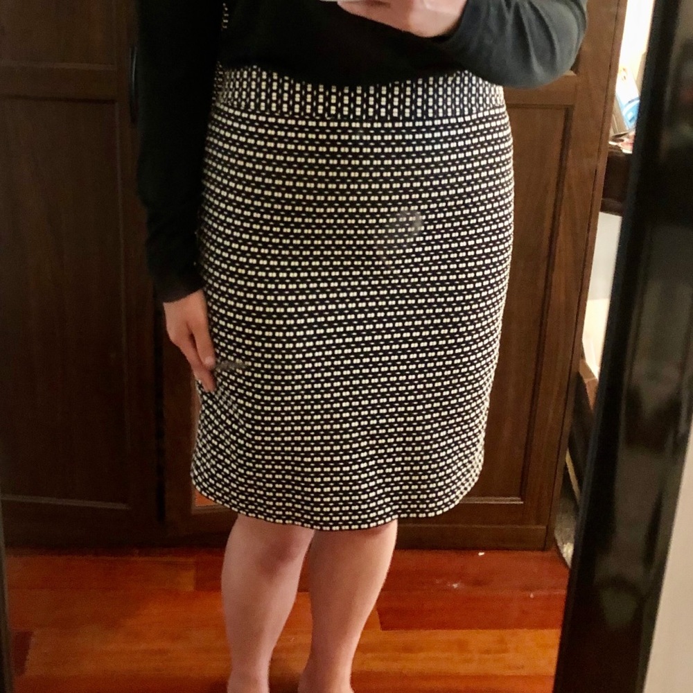 Ann Taylor Skirt